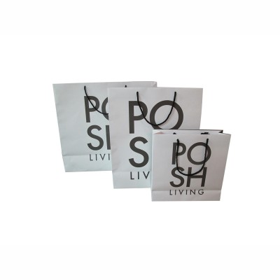 Many Size Factory Logo Printed White Kraft Paper Bags With Pp Handles